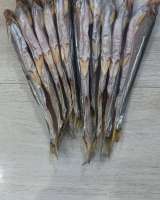 Зубатку Сахалинскую