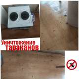 Уничтожение тараканов, клопов и других насекомых. Дезинсекция
