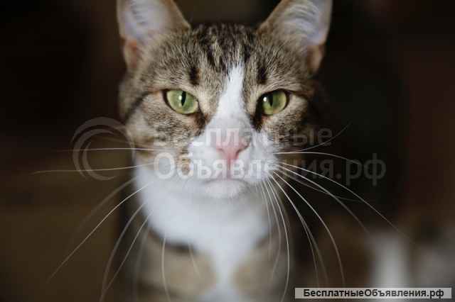 Знакомьтесь, это Тимоша