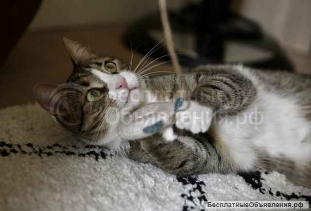 Знакомьтесь, это Тимоша