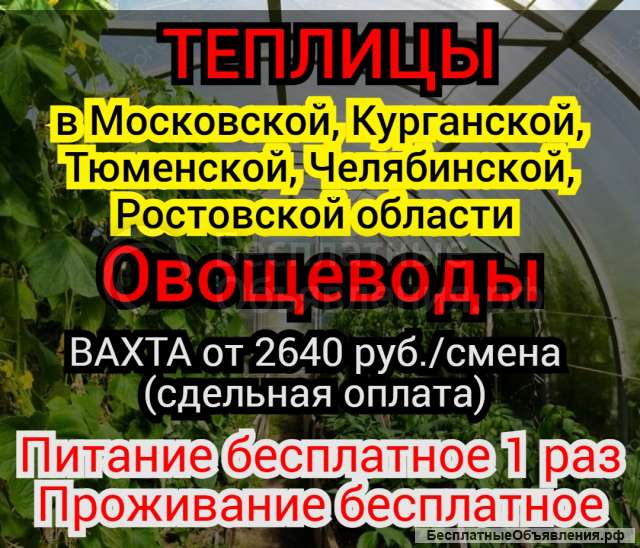 ВАХТА. В ТЕПЛИЦЫ требуются: Овощеводы