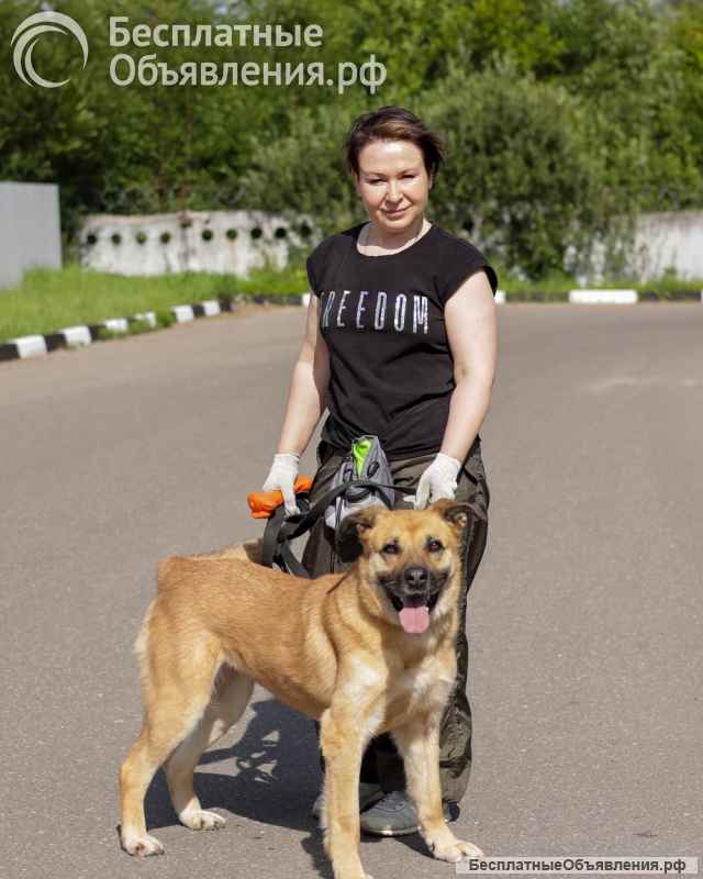 Хана: звезда, которая ждет своего часа