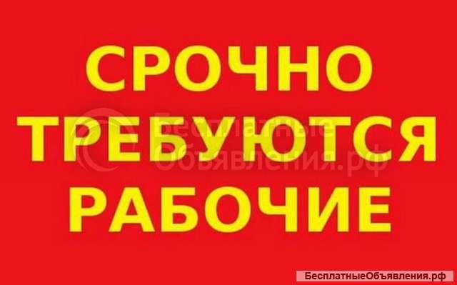 Грузчик с еженедельной оплатой