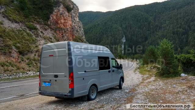 Перевозка домашних животных