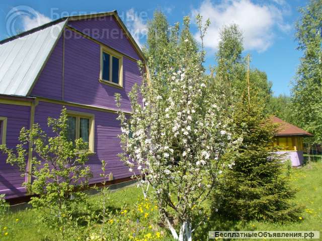 Дача 12 соток с летним домом