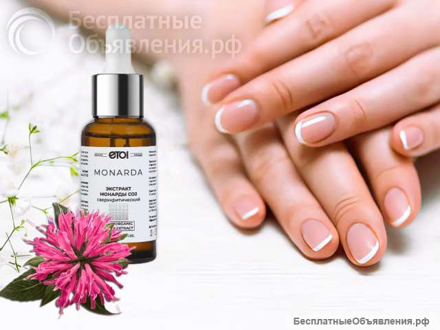 Монарда 30 мл. Опт