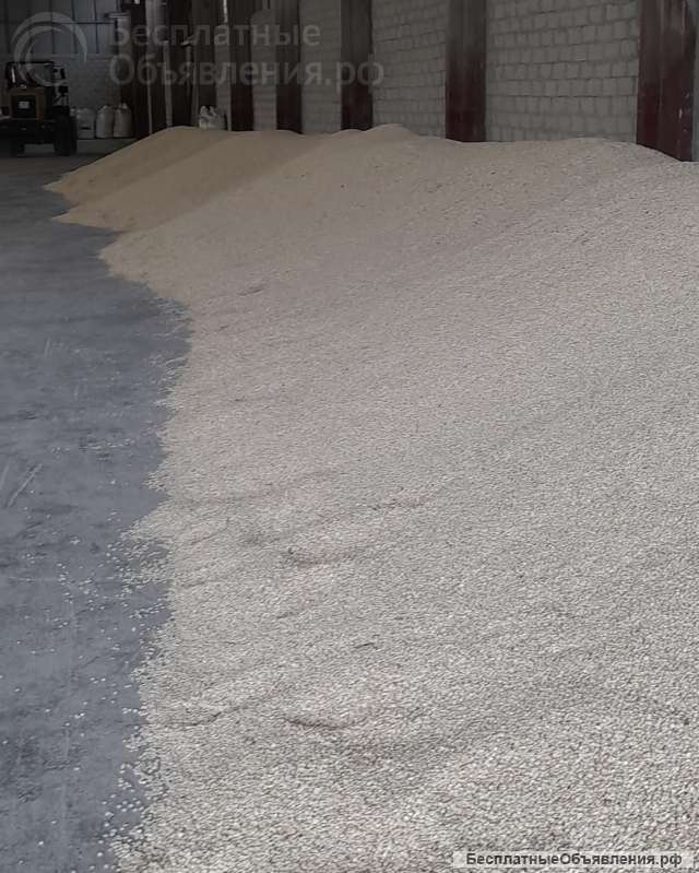 Зерно кукурузы белой