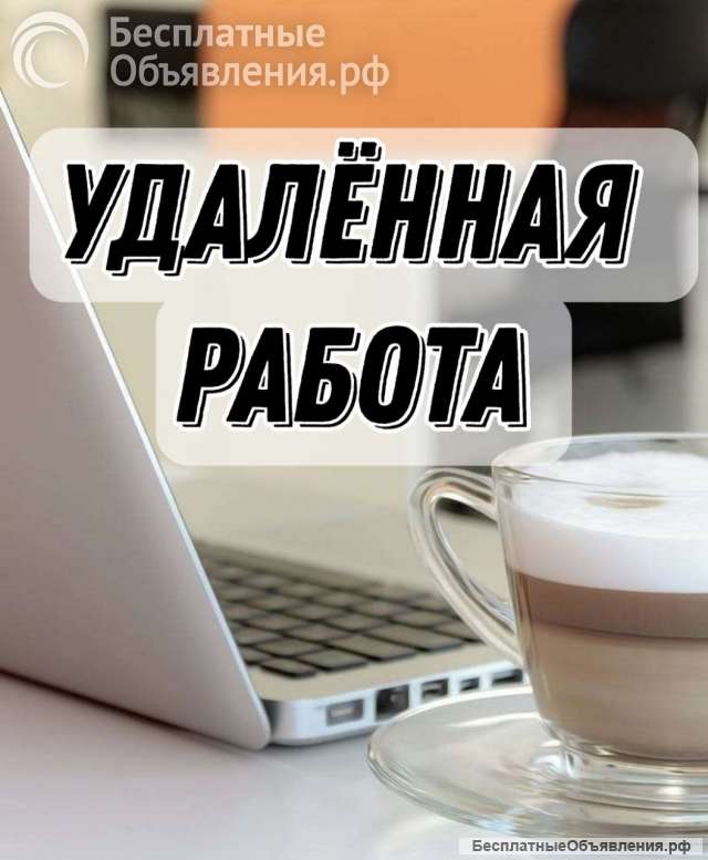 Куратор онлайн проекта