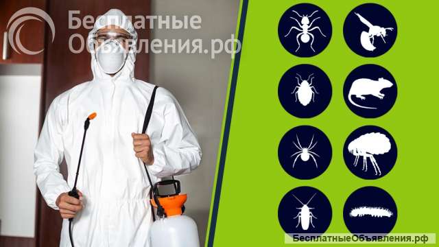 Уничтожение тараканов, клопов, блох, дезинфекция