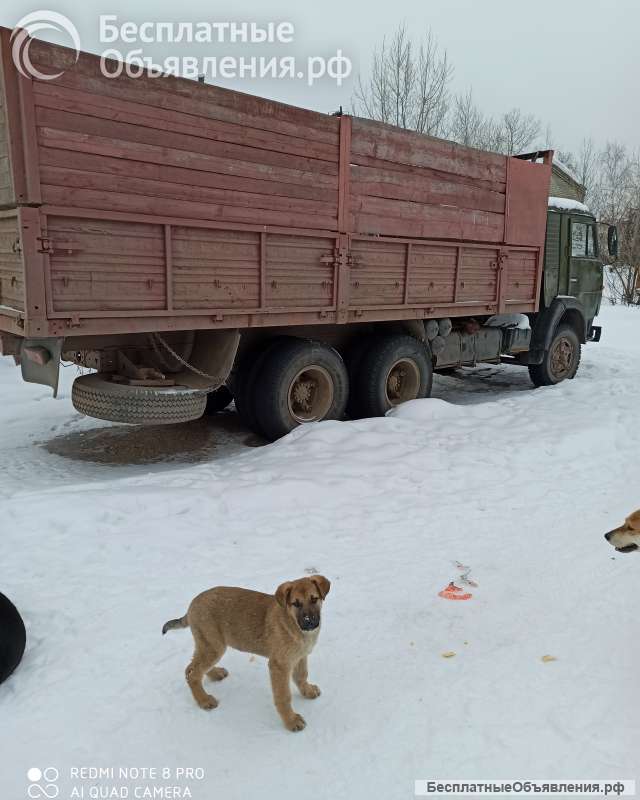 Бортовой КАМАЗ