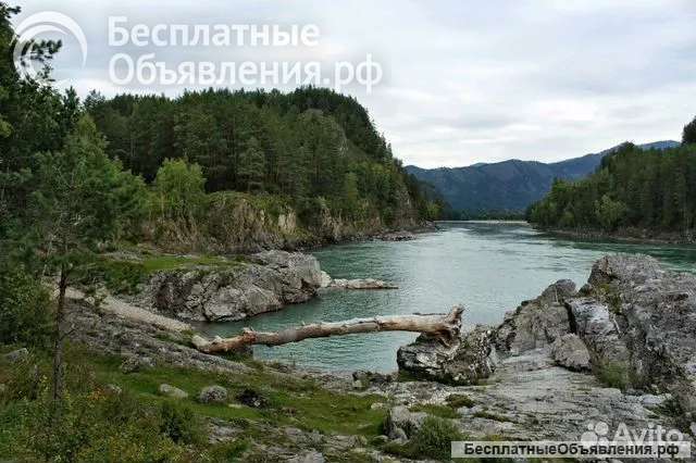 Незабываемый Ретрит на Алтае "Гармония Жизни" 2024