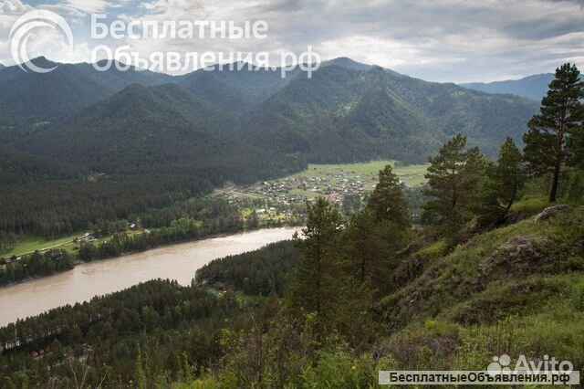 Незабываемый Ретрит на Алтае "Гармония Жизни" 2024