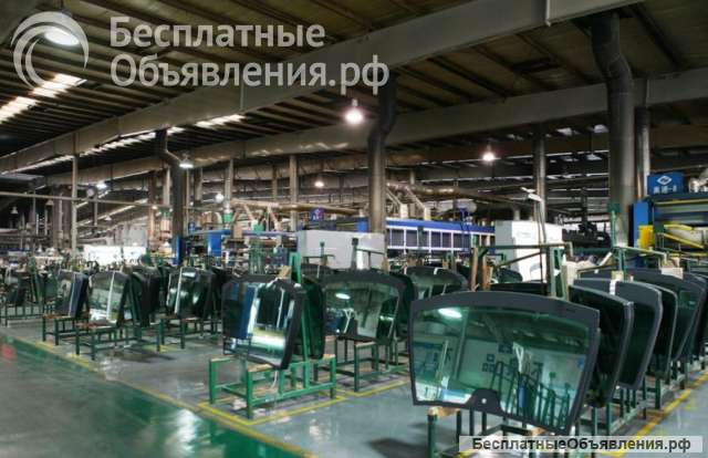 Борское автостекло