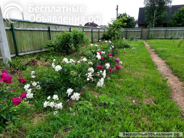Дачу СНТ Арсаки-2 Александровский р-н