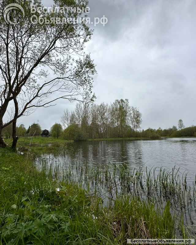 Участок 12 соток в посёлке Березовый Рай, 86 км от МКАД по Ярославскому ш