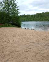 Сдаётся дачный домик в садоводстве Воейково