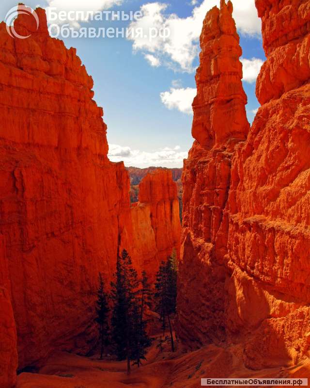 Тур в Киргизию "Фантастика марсианских пейзажей"