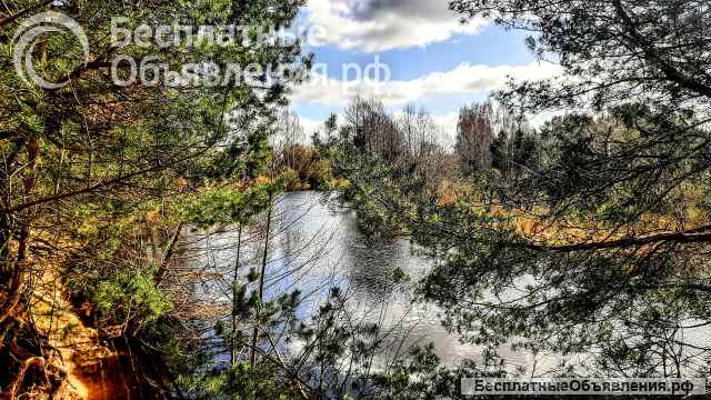 Большой бревенчатый дом с баней со своим выходом к реке в Гдовском р-не Псковской области