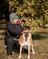 Умнейший метис овчарки Юджин ищет дом