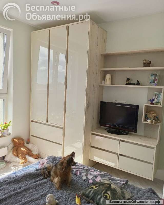 Сборщик мебели