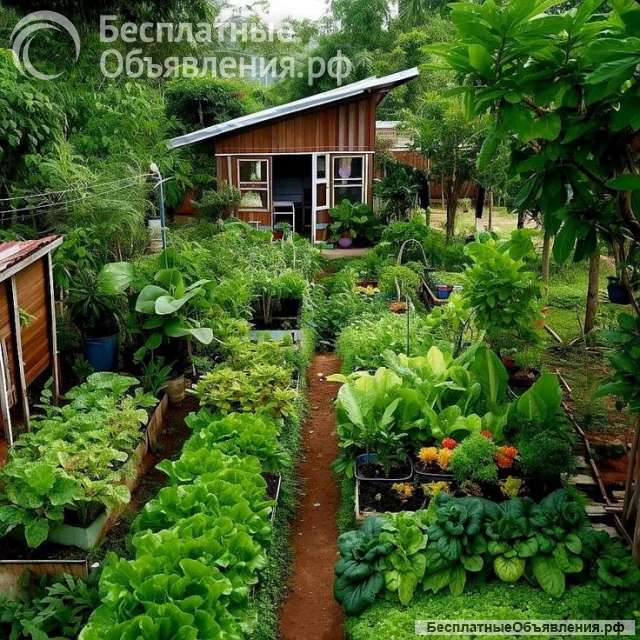 Уход за огородом/ садом/ частным домом