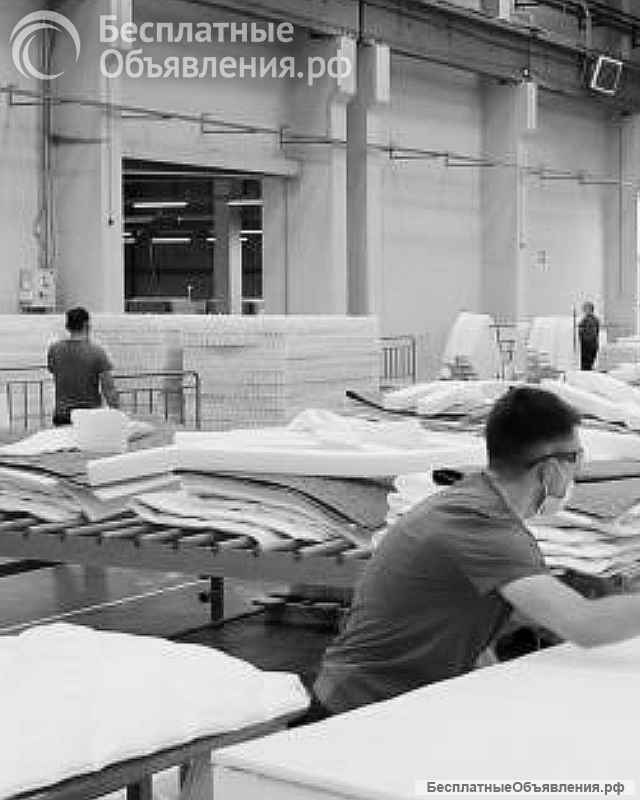 Любые Матрацы от Производителя в Ряжске