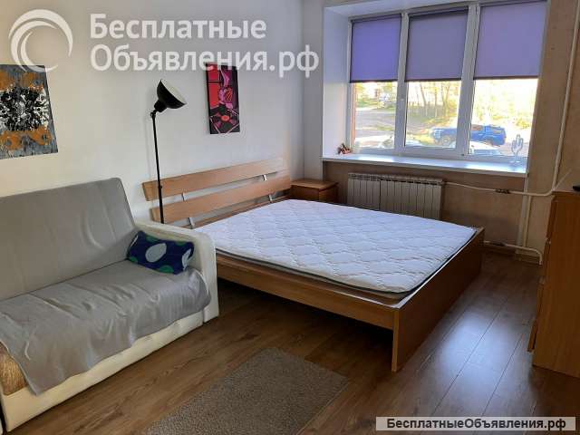 Сдаётся в аренду 2-комн кв 45 кв. м, Приморское шоссе, 1/9 эт.