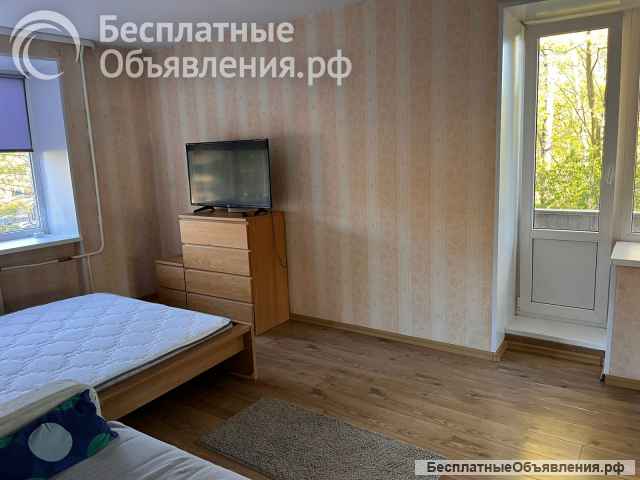 Сдаётся в аренду 2-комн кв 45 кв. м, Приморское шоссе, 1/9 эт.