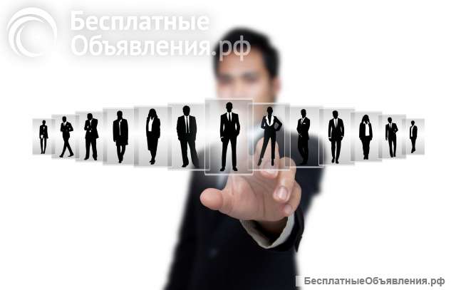 Открыта вакансия рекрутера/ агента