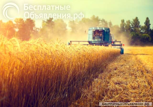 Механик