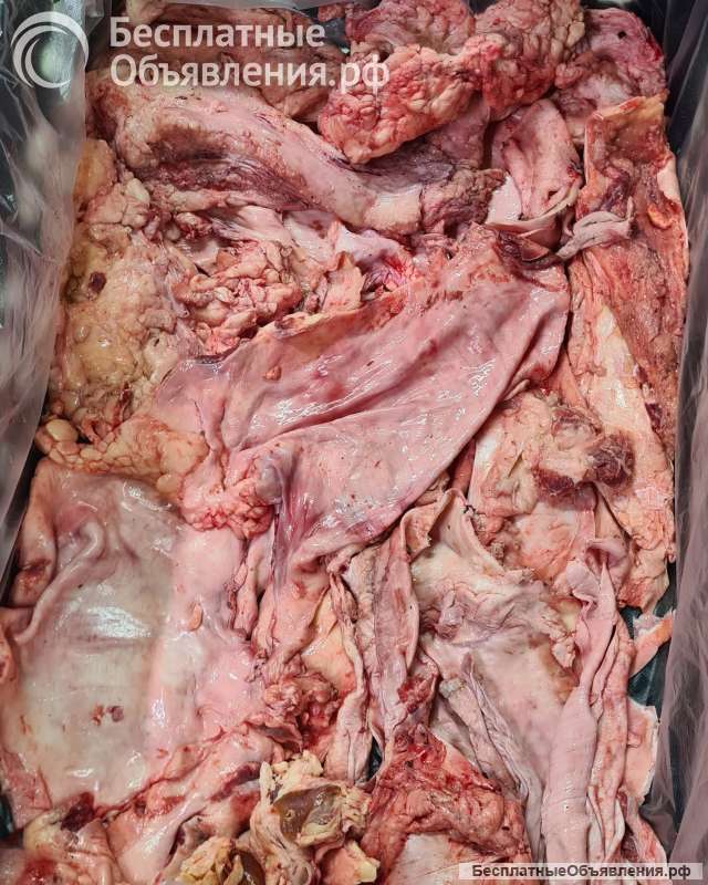 Жилка говяжья