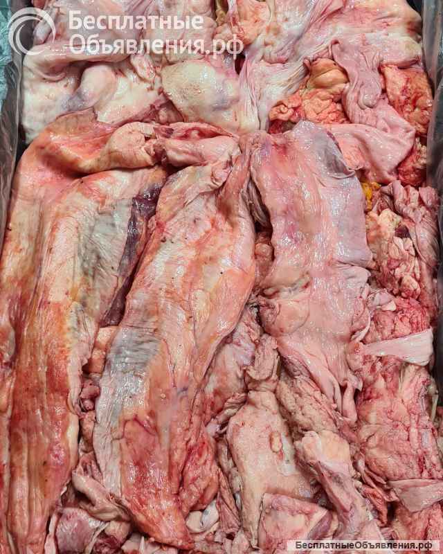 Жилка говяжья