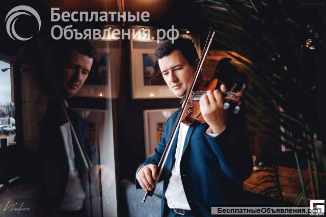 Скрипач на праздник