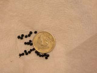 Луковицы и семена цветов и овощей