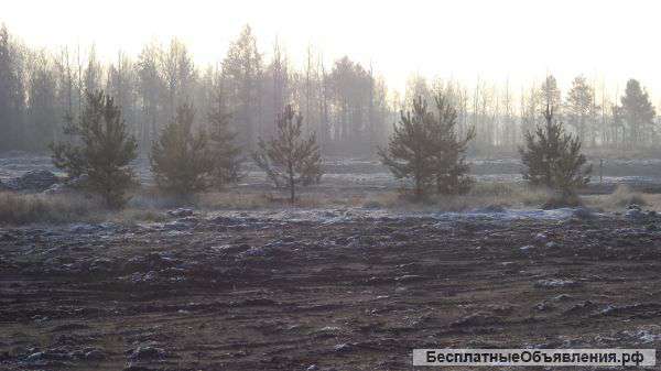 Участки в д.Головино
