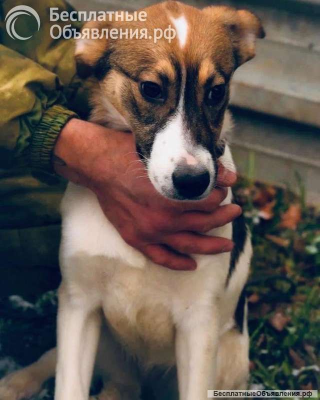 Солнышко Мила ищет семью