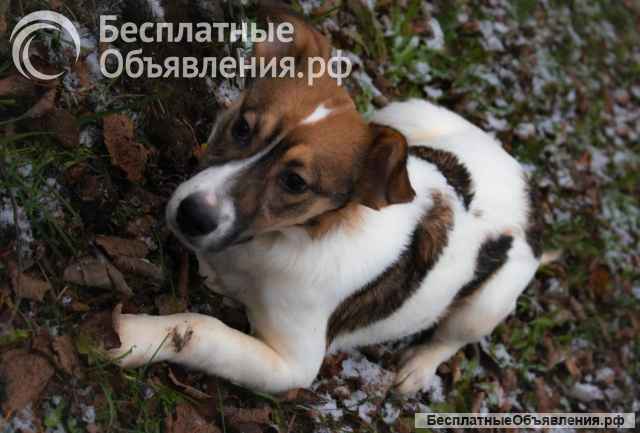 Солнышко Мила ищет семью