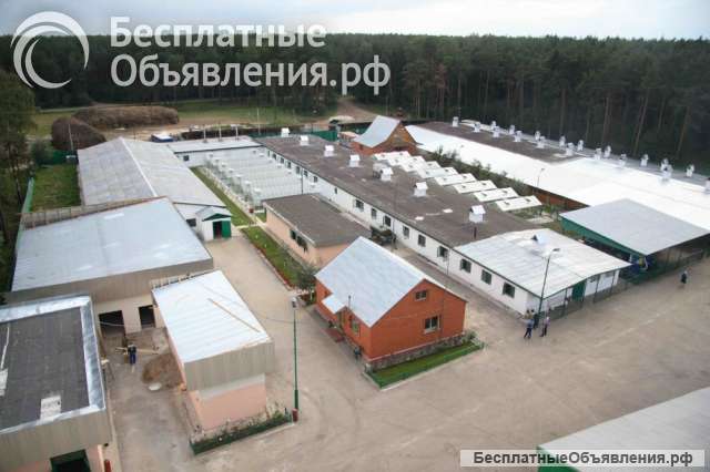 Помещения под склад и производство