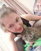 Котик - "рысик" ищет дом единственным котиком