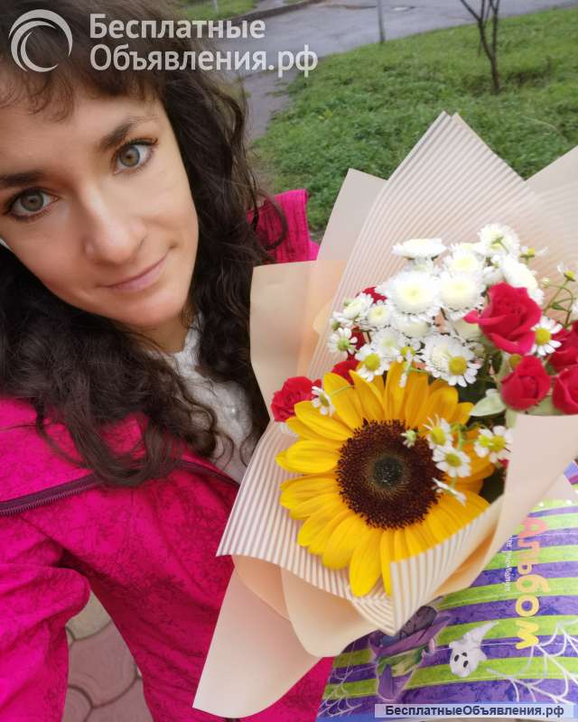 Решение задач по высшей математике