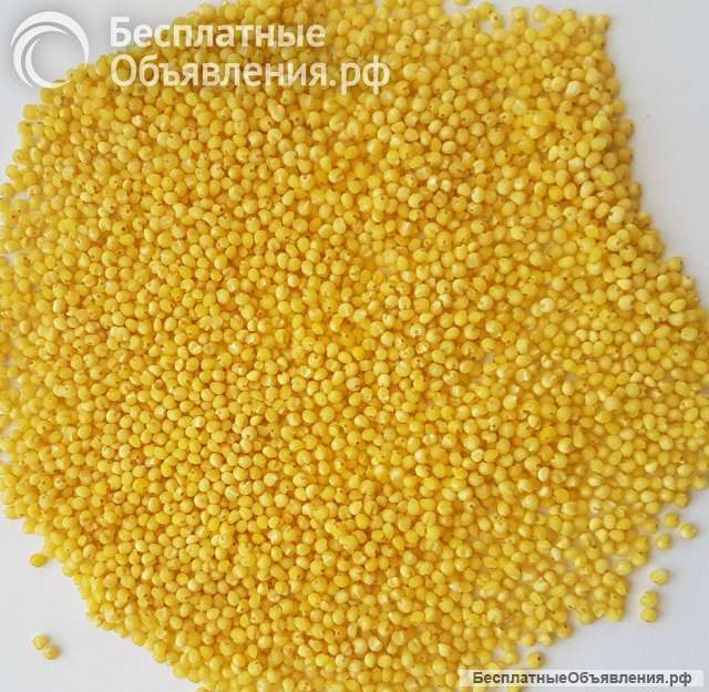 Пшено шлифованное гост 1 сорт
