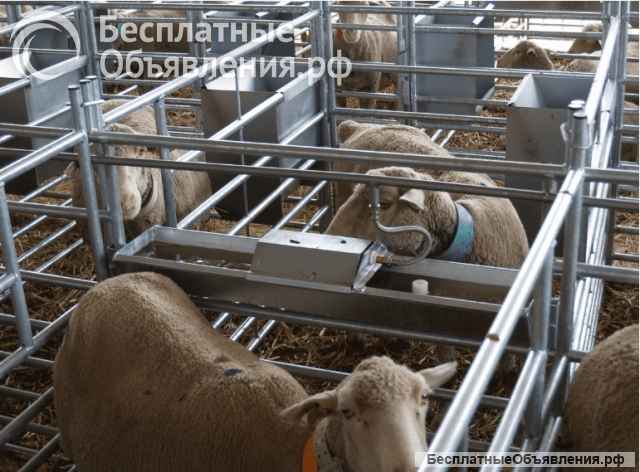Окотные боксы для овец баранов МРС