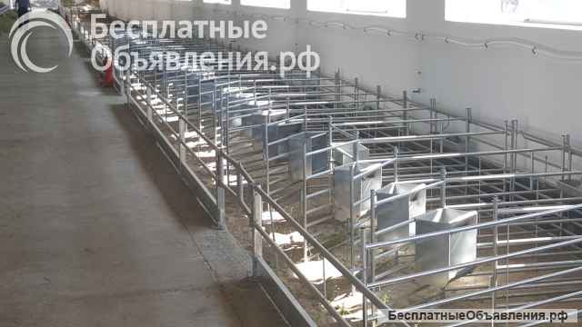 Окотные боксы для овец баранов МРС