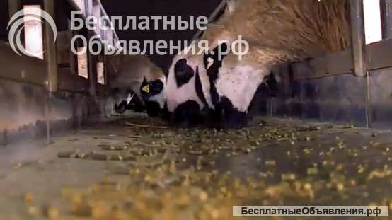 Кормовая лента для овец и коз JAVIER CAMARA (Испания)