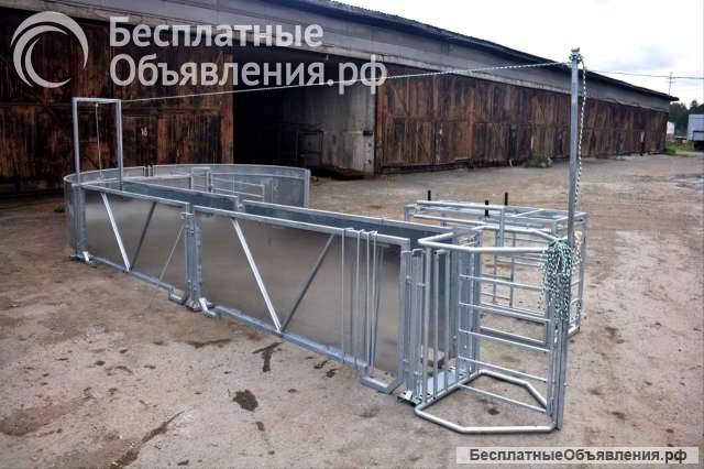Раскол для овец баранов -Система сортировки