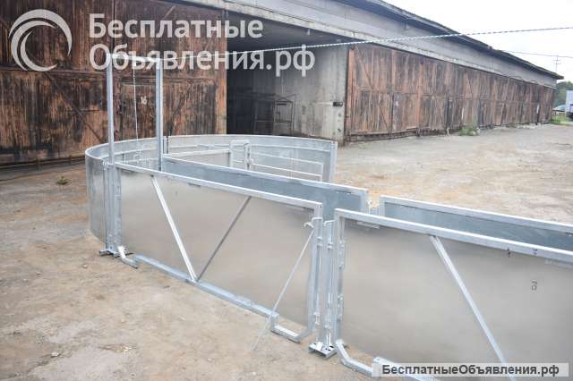 Раскол для овец баранов -Система сортировки