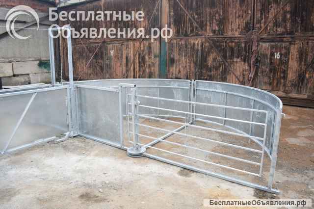 Раскол для овец баранов -Система сортировки