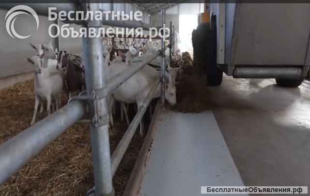 Кормораздатчик ковш-миксер для коз овец КРС SIEPLO