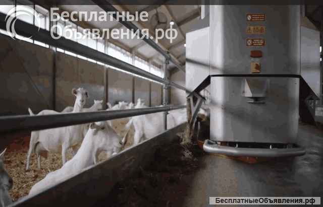 Кормораздатчик для овец и коз SIEPLO