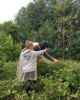 Предложение для оптовиков - защита от мошкары и комаров